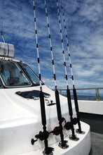 Load image into Gallery viewer, BBGF Tope/Blue Shark rods