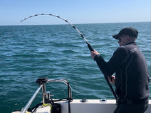 Load image into Gallery viewer, BBGF Tope/Blue Shark rods