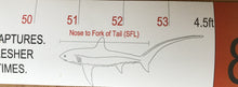 Load image into Gallery viewer, BBGF Thresher Shark Measuring Tape.